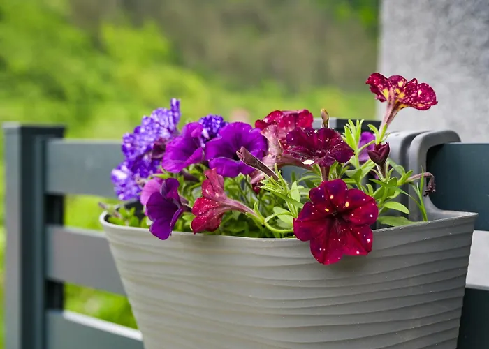 Cato S Holiday home Bravnice